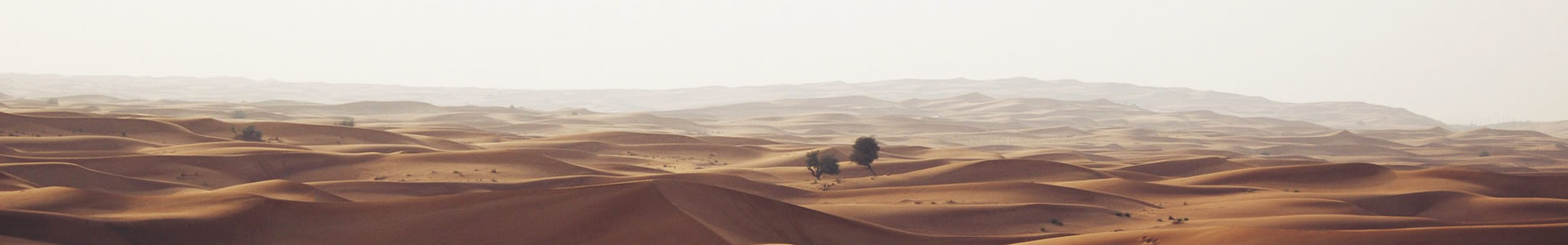 оԴܹƼ޹˾